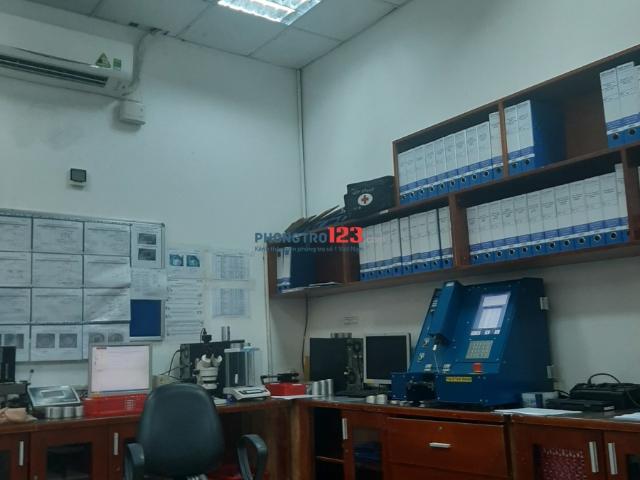 Bất động sản cho thuê