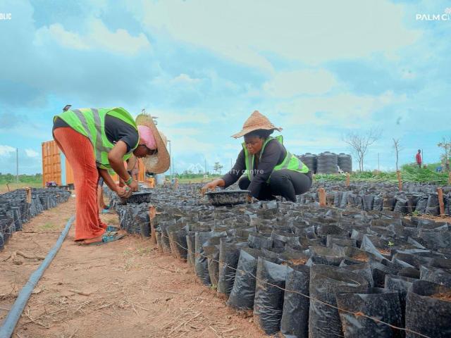 Property for sale in Ojo