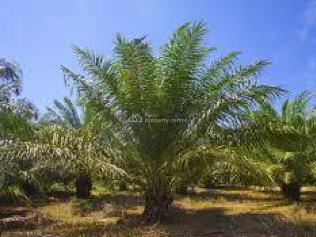 Commercial for sale in Ojo