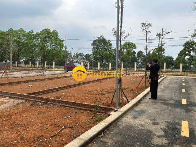 Mặt bằng bán