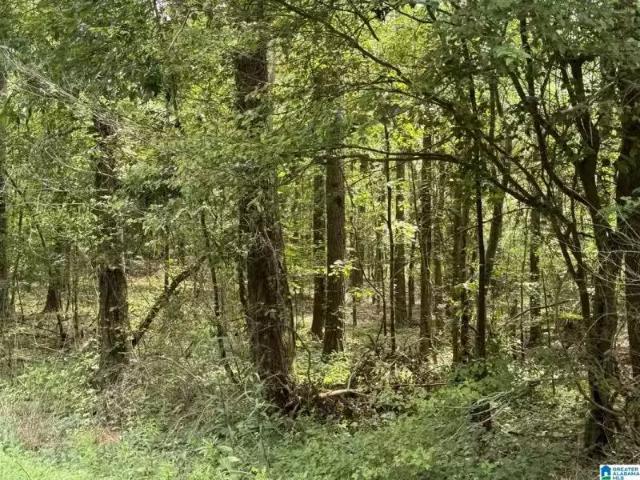 House for rent in Valley