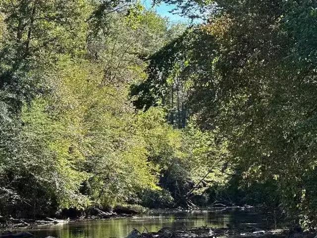 House for rent in Jacksonville, Alabama