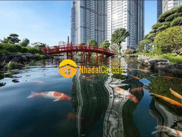 Căn hộ bán