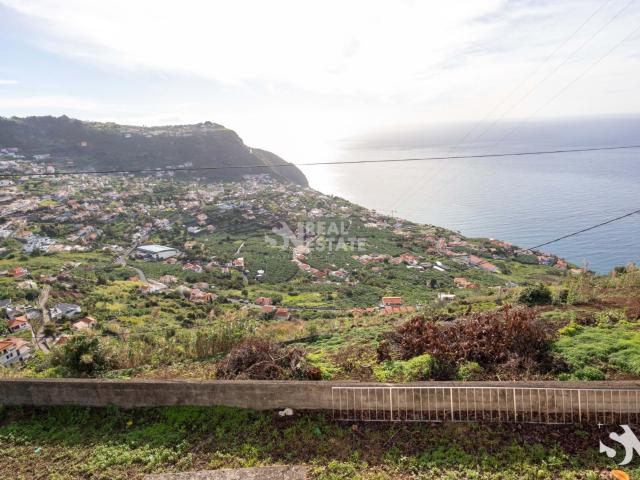Terreno venda em Pombal, Leiria