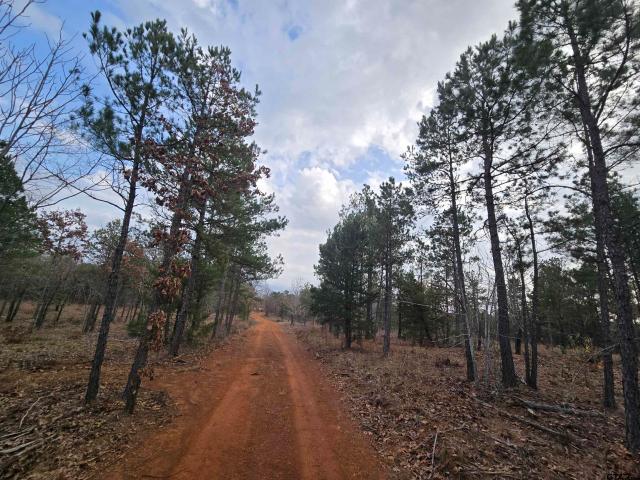 Land for sale in Smith, Texas