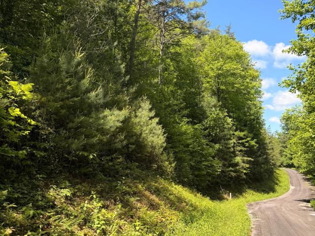 Land for sale in Georgia