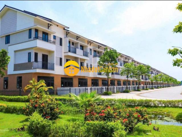 Biệt Thự bán
