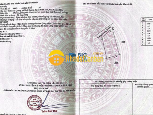 Mặt bằng bán