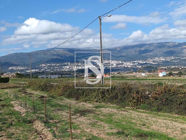Terreno venda em Castelo Branco