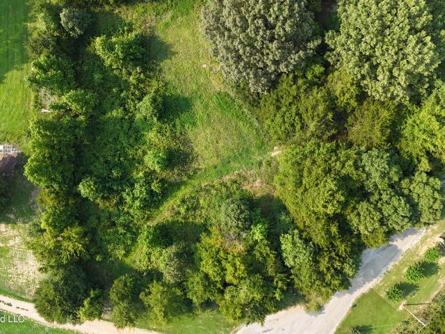 Land for sale in Tate, Mississippi