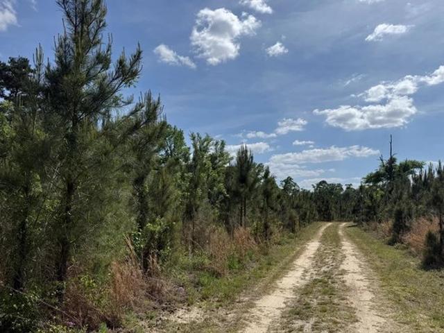 Land for sale in Bainbridge, Georgia