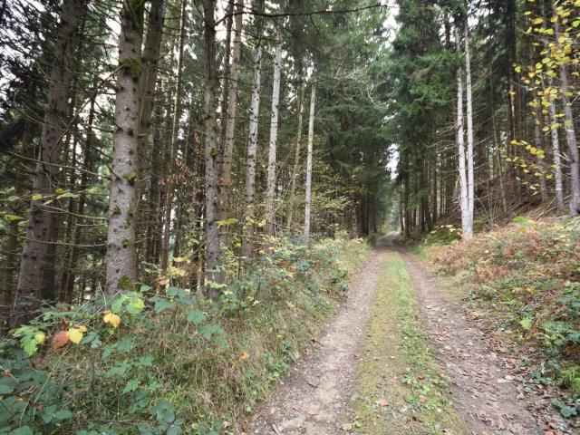 Gewerbe kaufen in Rothenthurn, Kärnten