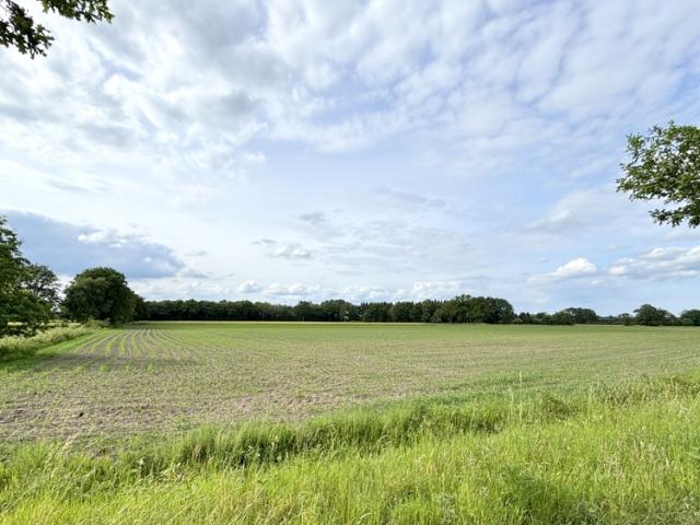Landwirtschaft kaufen in Hollwege, Westerstede