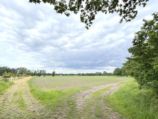 Landwirtschaft kaufen in Hollwege, Westerstede