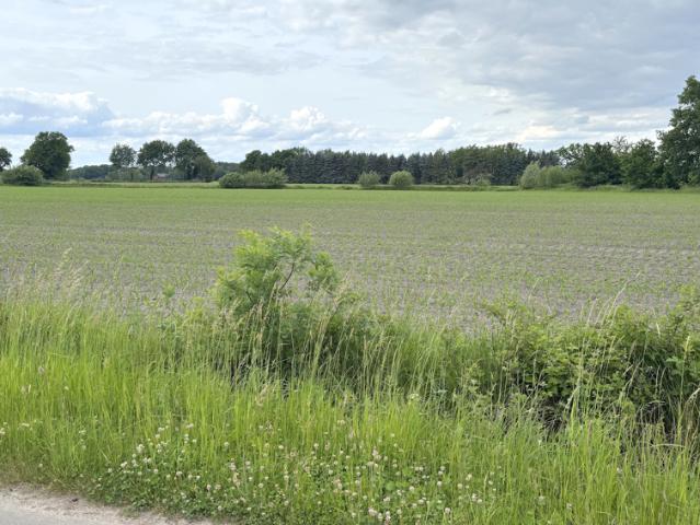 Landwirtschaft kaufen in Hollwege, Westerstede