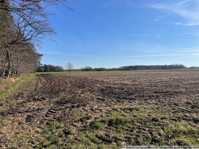 Landwirtschaft kaufen in Halstrup, Westerstede