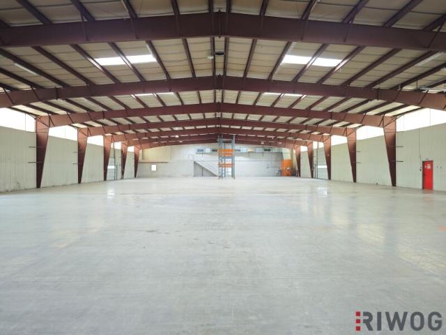 Industrie mieten in Groß-Enzersdorf, Niederösterreich