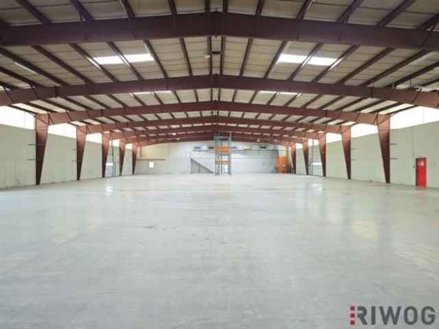 Gewerbe mieten in Groß-Enzersdorf, Niederösterreich