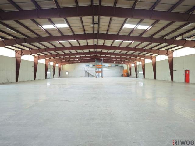 Gewerbe mieten in Gänserndorf, Niederösterreich