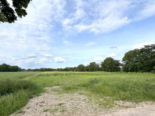 Landwirtschaft kaufen in Westerstede, Niedersachsen