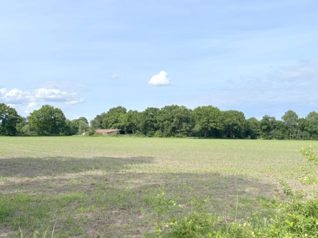 Landwirtschaft kaufen in Hollwege, Westerstede