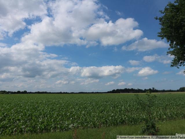 Landwirtschaft mieten in Kleibrok, Rastede