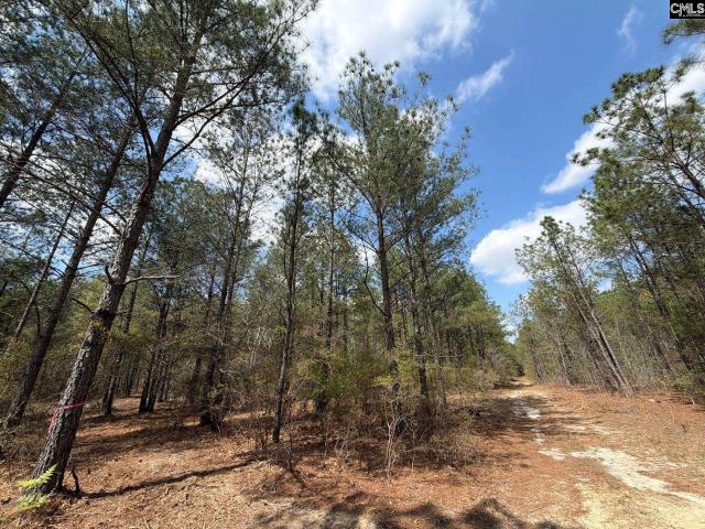 Land for sale in Aiken, South Carolina