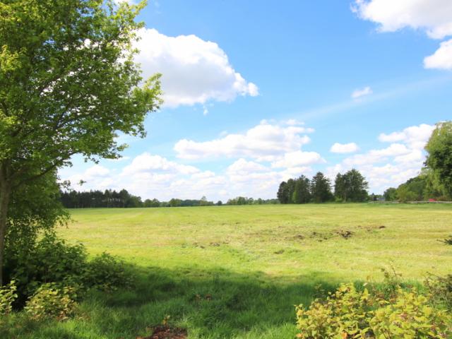 Landwirtschaft kaufen in Klein Scharrel, Edewecht