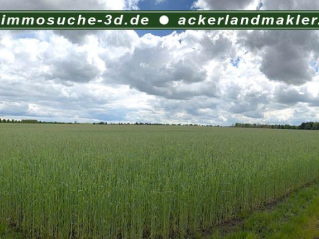 Erdgeschosswohnung kaufen in Anklam, Mecklenburg-Vorpommern