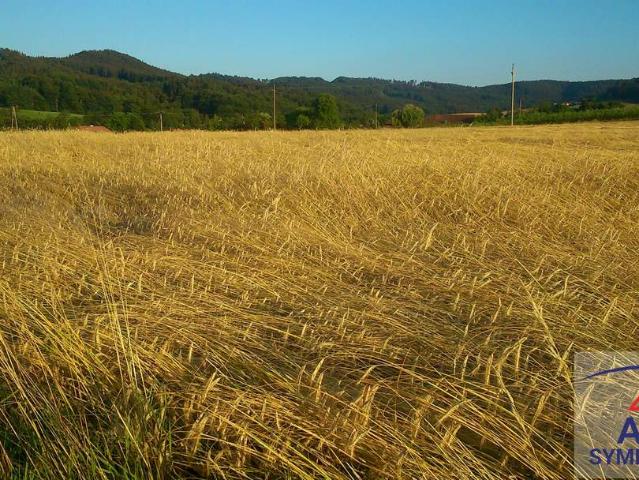 Grundstück kaufen in Oberösterreich