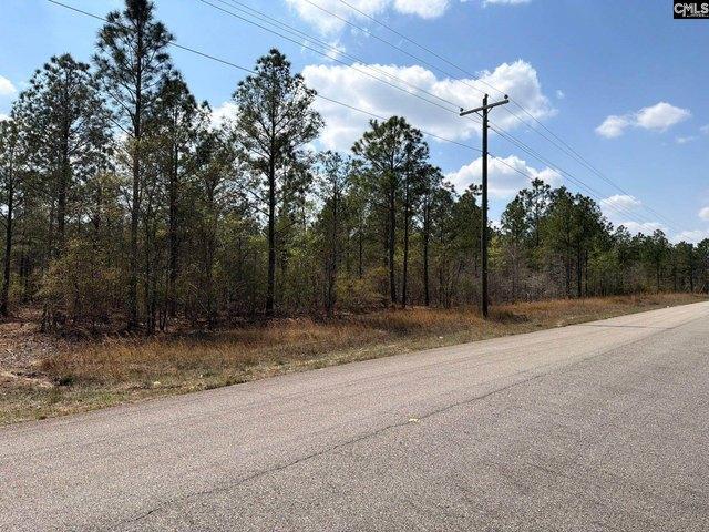 Land for sale in Ridge Spring, South Carolina