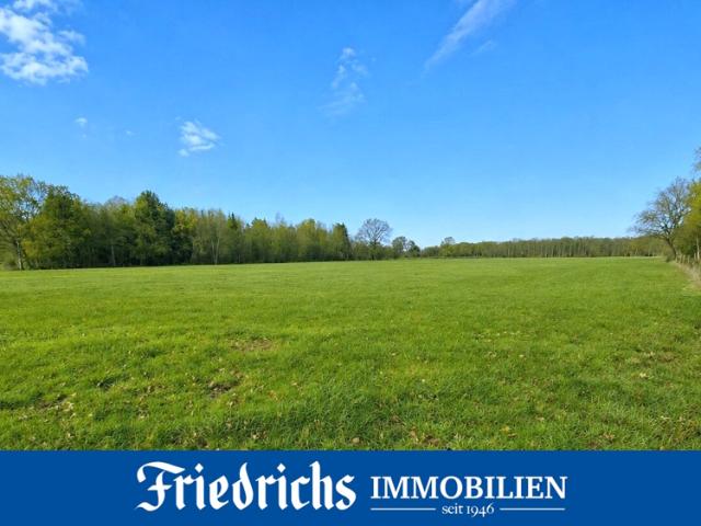 Landwirtschaft kaufen in Edewecht, Niedersachsen