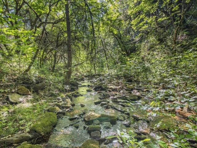 Land for sale in San Andreas, California