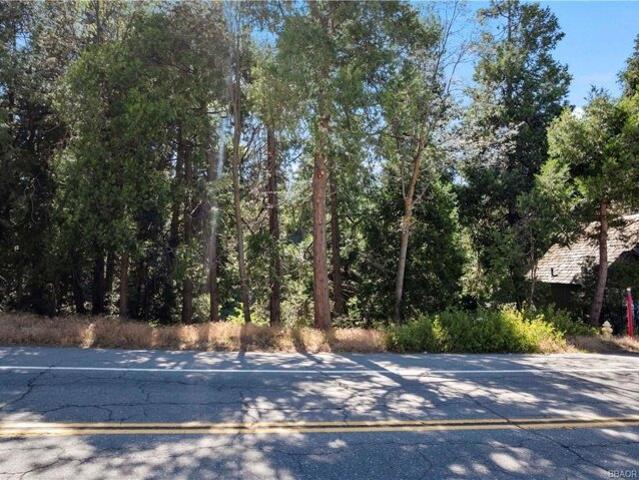 Land for sale in Cedar Glen, California