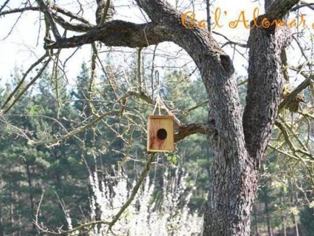 Casa en alquiler en la Selva, Catalunya