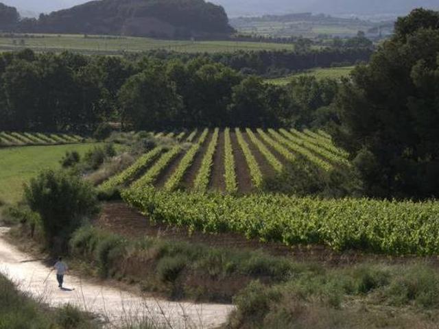 Casa en alquiler en Alt Penedès, Catalunya
