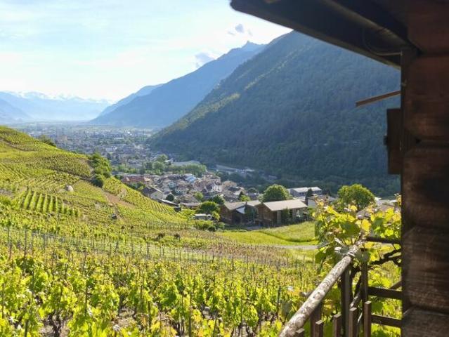Immobilie kaufen in Martigny, Wallis