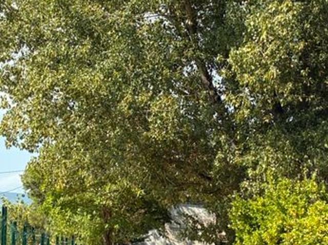 Maison vente à Arrondissement de Toulon, Pierrefeu-du-var