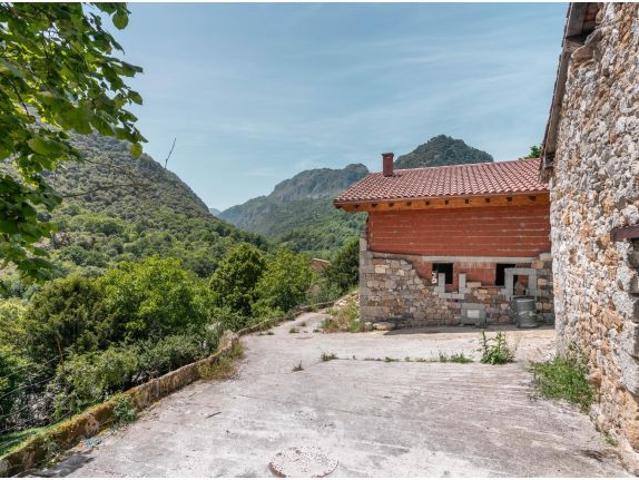 Local Comercial en venta en Peñamellera Alta, Asturias