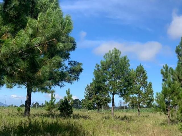 Casa en venta en Amealco de Bonfil