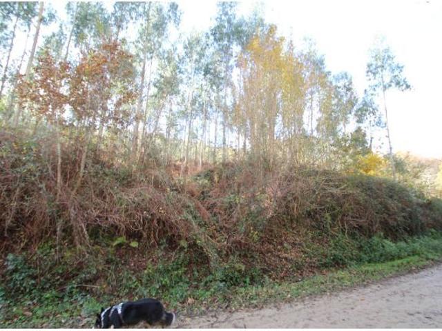 Casa en venta en Ruente, Cantabria