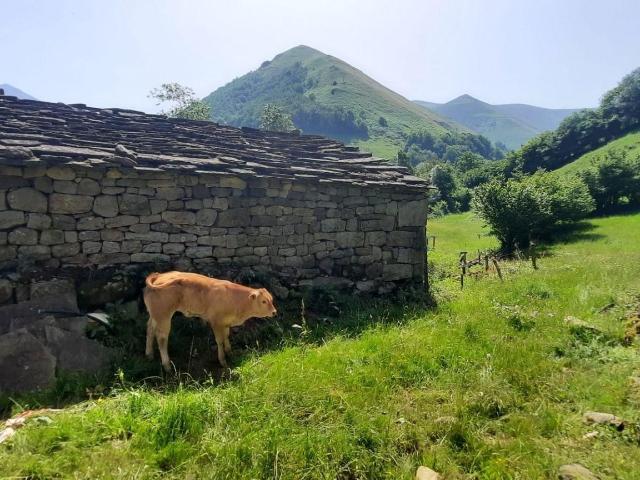 Chalet en venta en Vega De Pas, Cantabria