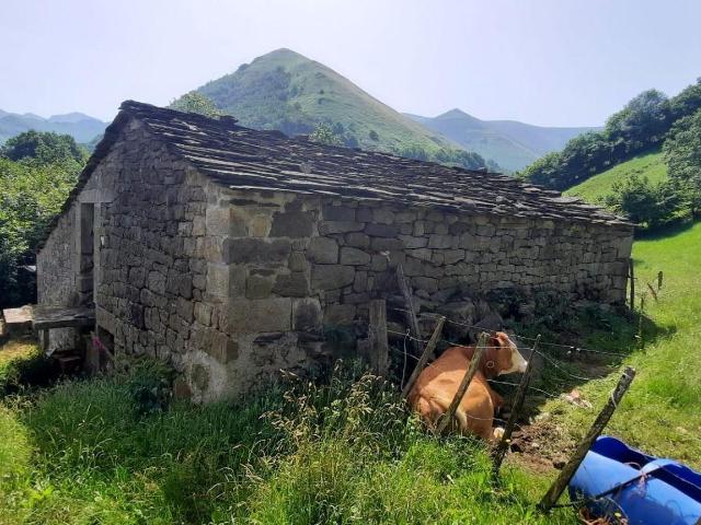 Chalet en venta en Vega De Pas, Cantabria