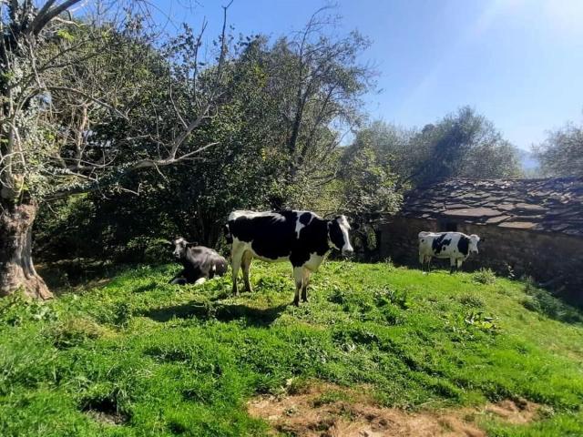 Chalet en venta en San Roque De Riomiera, Cantabria