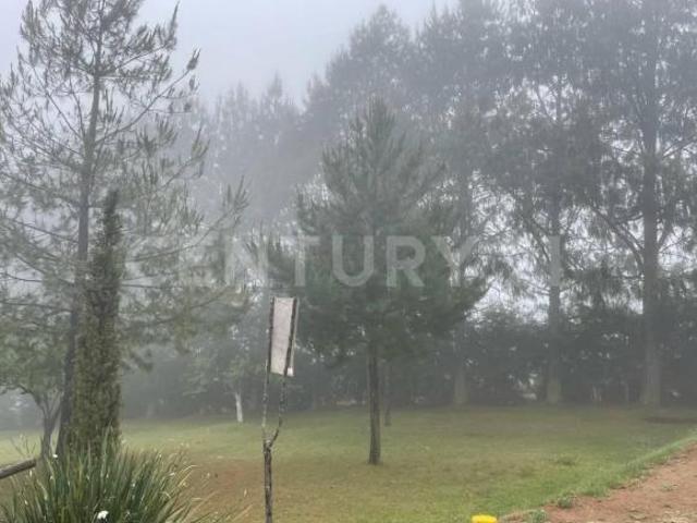 Casa en venta en Zacatlán
