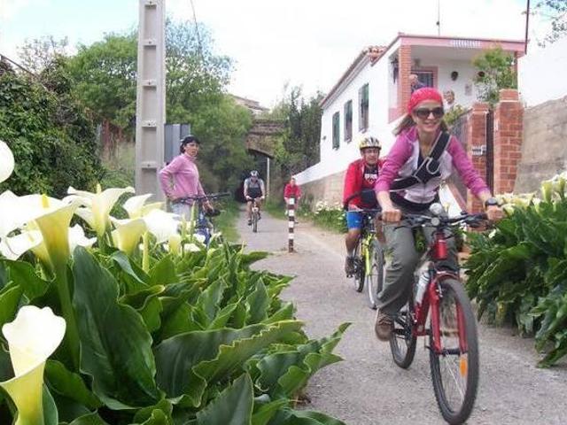 Casa en alquiler en l'Alt Palància, Valencia