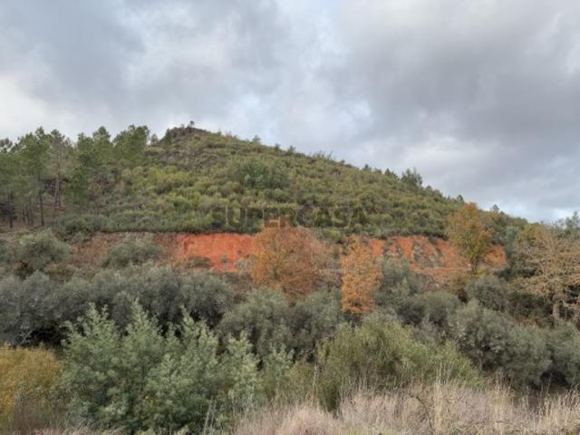 Casa venda em Castelo Branco, Aldeia Nova Do Cabo