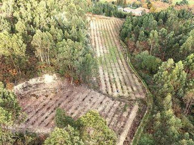 Terreno venda em Cabeceiras De Basto, Braga
