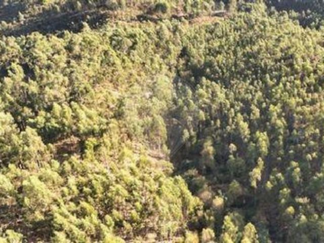 Terreno venda em Cabeceiras De Basto, Braga