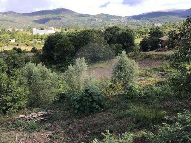 Terreno venda em Portela do Fôjo, Cabeceiras De Basto